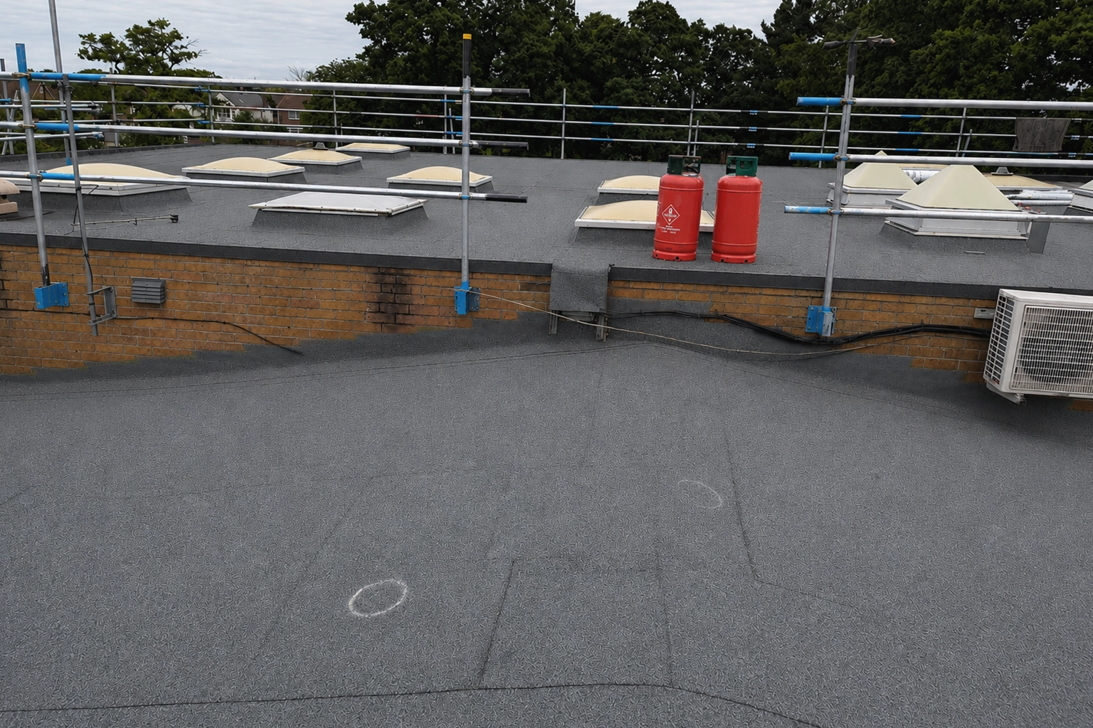 Roof survey